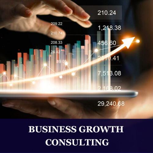Business Growth Consulting HOME